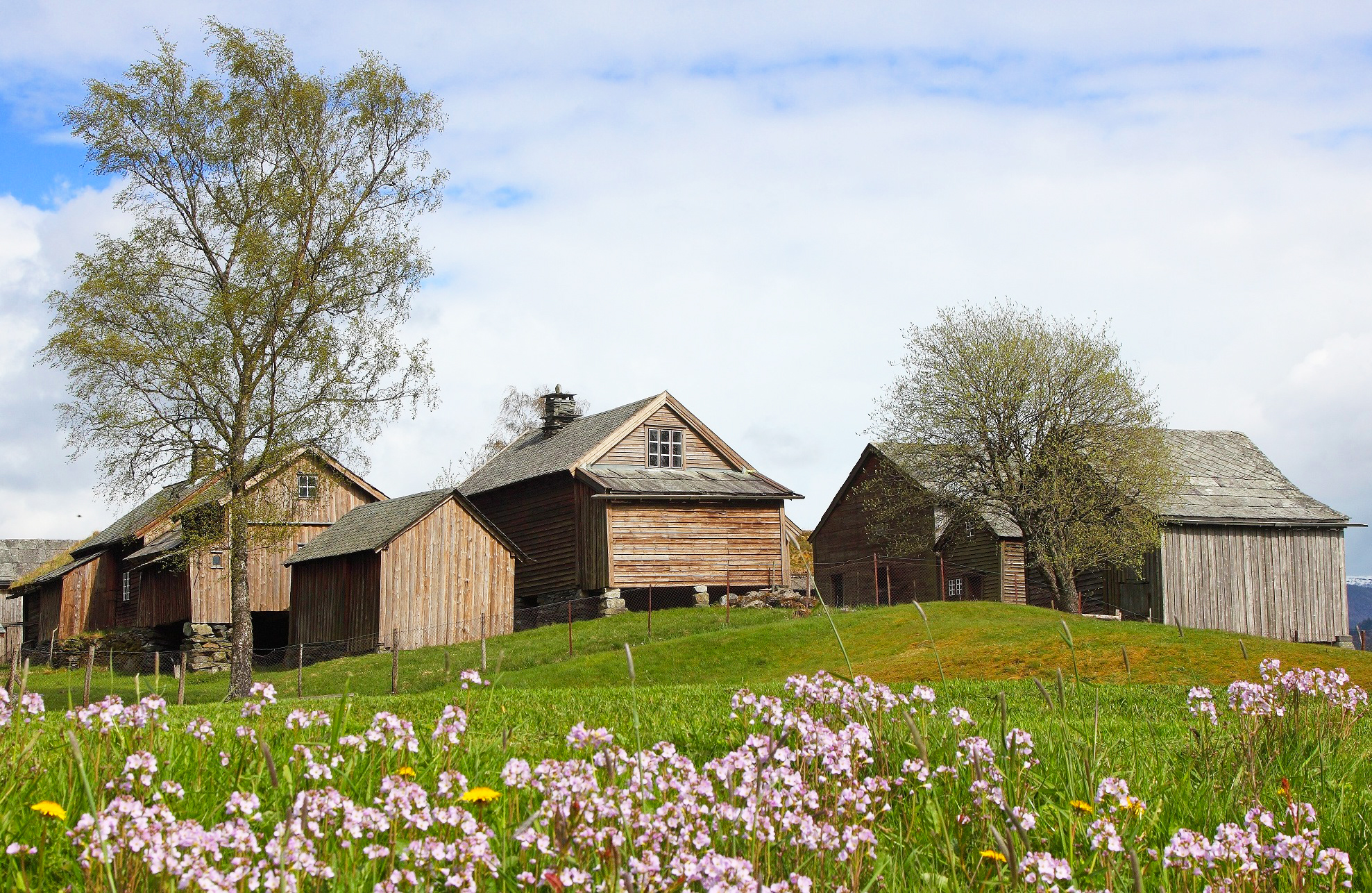 Mølsterunet
